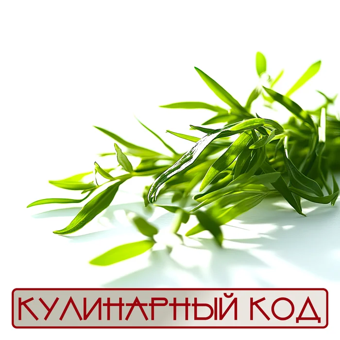 Culinary code. Spicy herbs. Tarragon - My, Cooking, Food, Nutrition, Products, Tarhun, Tarragon, Facts, Knowledge, Longpost