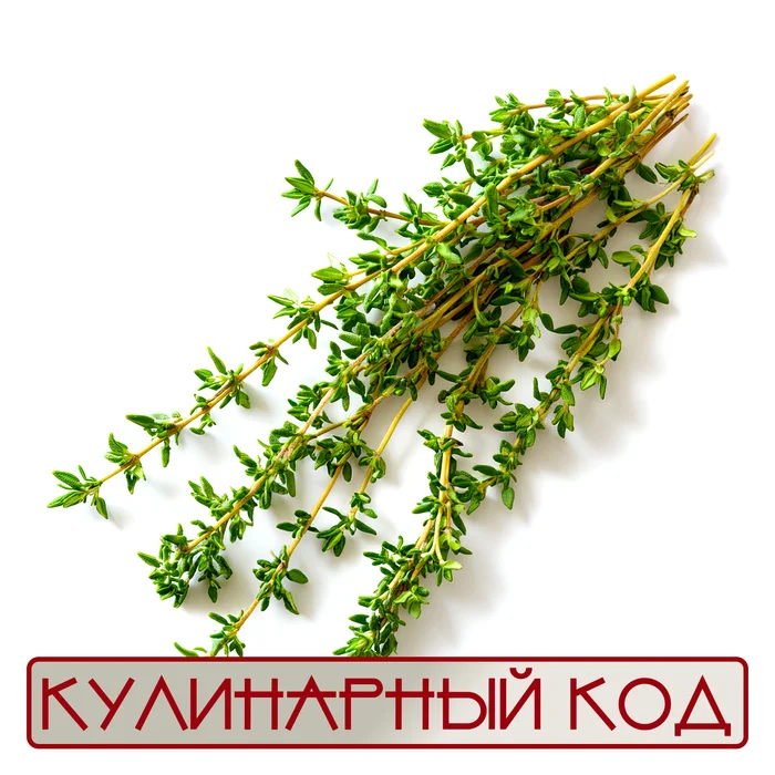 Culinary code. Spicy herbs. Thyme - My, Food, Products, Cooking, Nutrition, Thyme, Thyme, Facts, Knowledge, Longpost