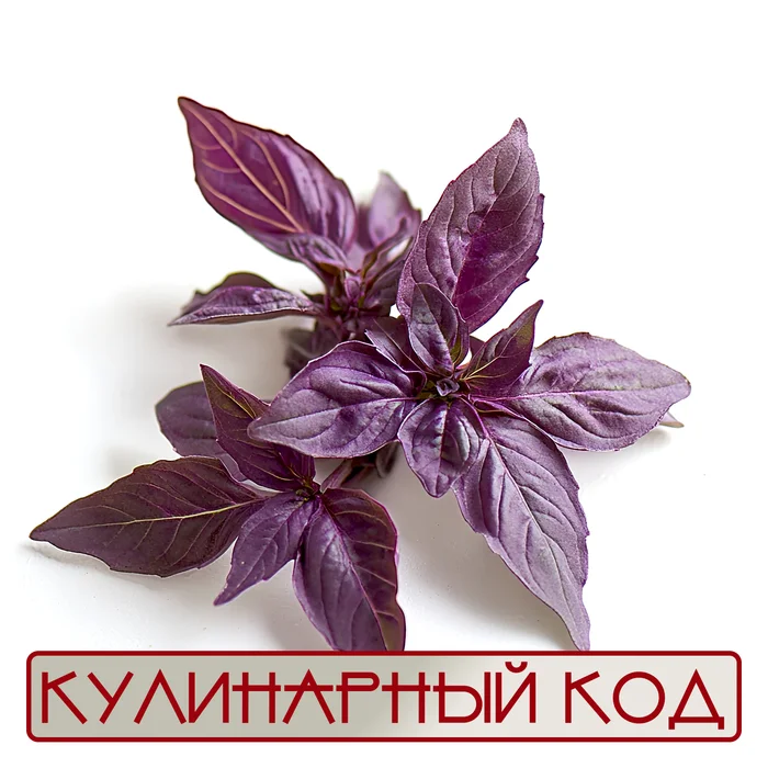 Culinary Code. Spicy Herbs. Basil - My, Cooking, Food, Products, Nutrition, Basil, Facts, Knowledge, Longpost