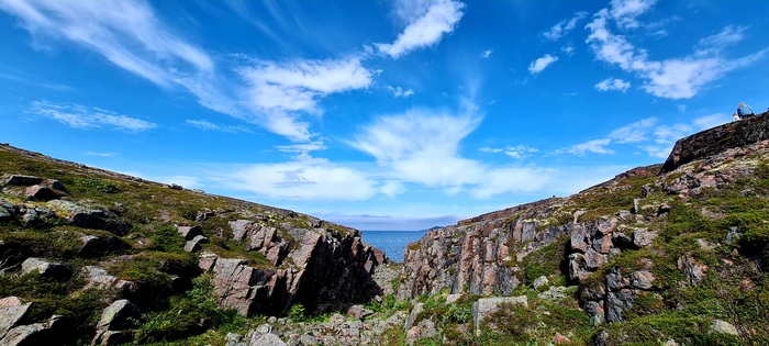 Красота июня - тепло, прекрасное голубое небо и сочный контраст вокруг