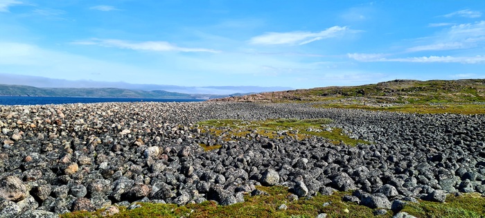 Те самые яйца дракона, хотя если быть честными, у драконов, судя по всему, были проблемы с яйцами.