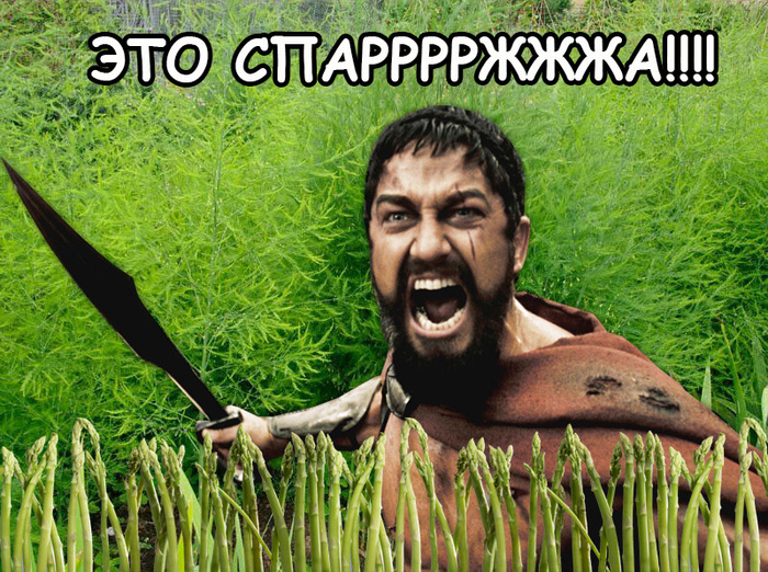     , ,   ,    ?, , , , , , , ,   