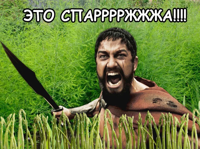 Продолжение поста «Очевидное невероятное» - Моё, Спаржа, Откровение, Сегодня я узнал, А ты что думал?, Удивительное, Еда, Огород, Длиннопост, Совет, Моча, Мат, Ответ на пост