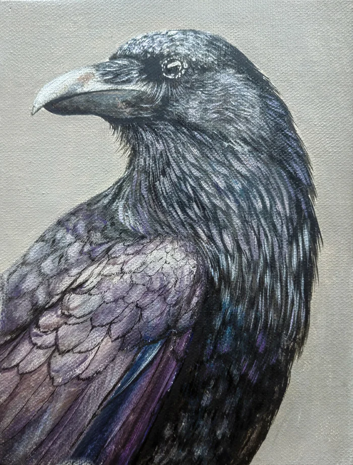 Crow - My, Artist, Crow, Art, Acrylic, Drawing