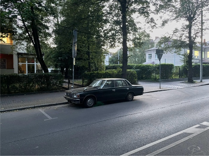 �������� ��������������