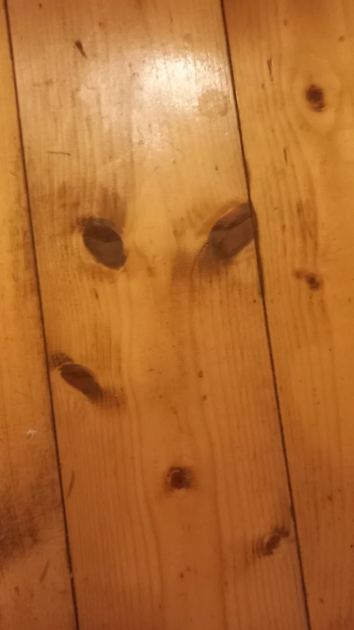 My gender hates me - My, Pareidolia, It seemed, Longpost