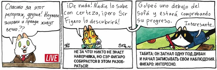 Koteikiny News from 09.21.2024 - My, Translation, Koteikin news (comic), Comics, cat