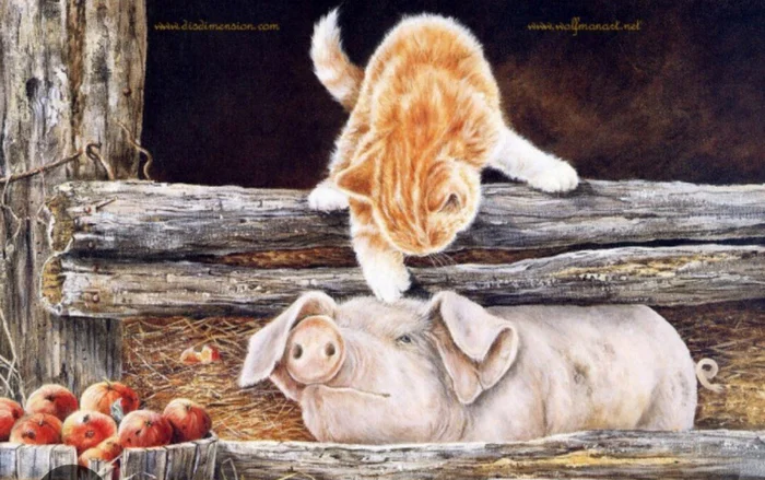 Cat and Pig - cat, Pig, Story, Author's story, In contact with, VKontakte (link)