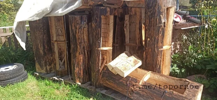 Another log apiary - Bees, Сельское хозяйство, Telegram (link)