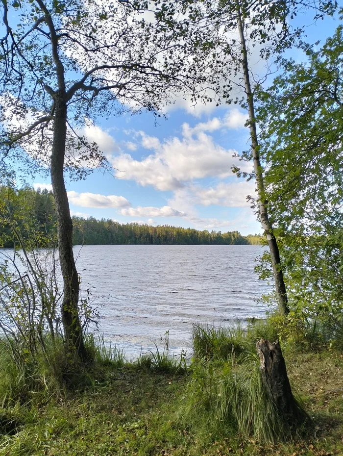 Maloe Kirillovskoe Lake - My, Lake, Leningrad region, Nature, Mobile photography