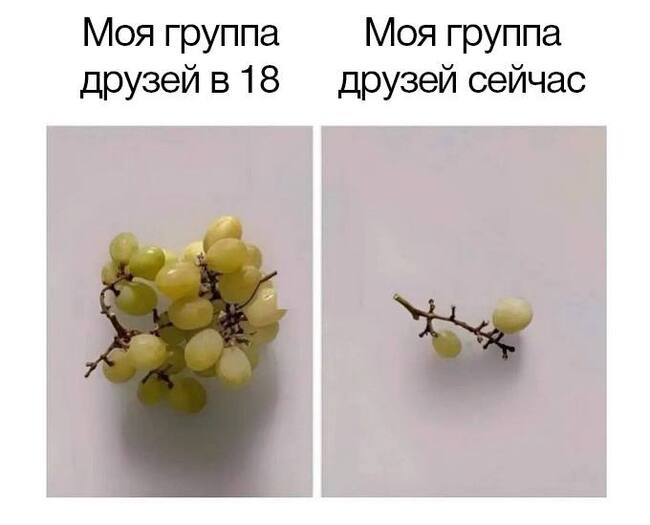 Did you eat it?) - Picture with text, Humor, Friends, Age, Sad humor, Grape, Telegram (link)