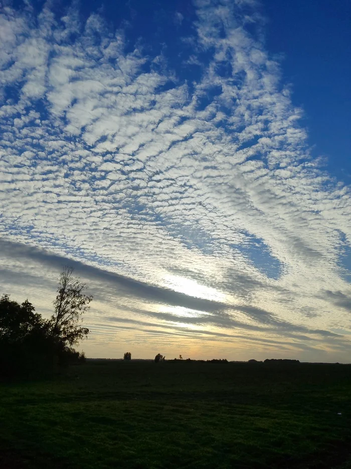 Sunset outside the city, not far from the village of Shilovo, Novosibirsk region - My, Sunset, Mobile photography, Sky, beauty, Clouds