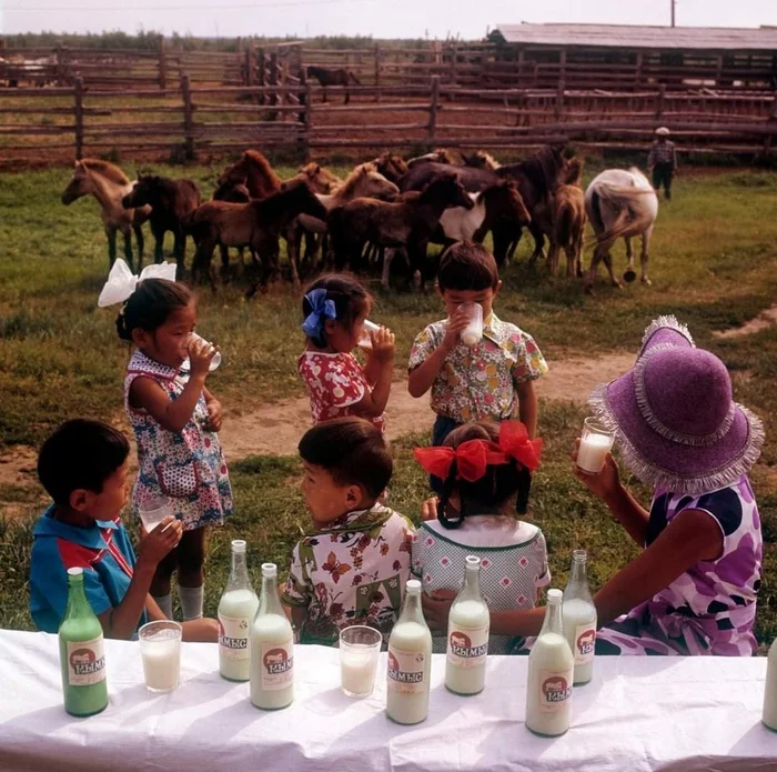 Children drink kumiss in Yakutsk, Yakut Autonomous Soviet Socialist Republic, 1970s - Yakutsk, Koumiss, Children, Childhood in the USSR, Made in USSR, Parenting, the USSR, Childhood memories, Memory, 70th, Telegram (link)