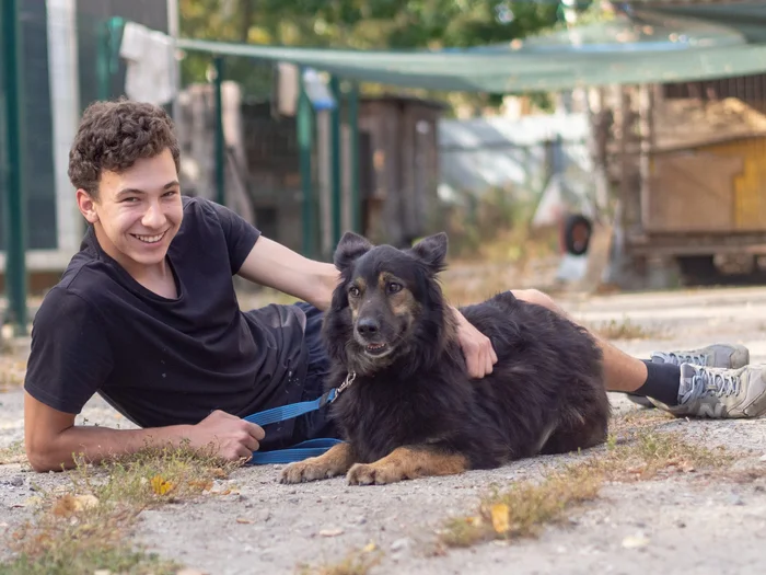 Before this photo shoot, we didn't know that some dogs imagine themselves as statues. - My, Dog, Animal shelter, In good hands, Moscow region, Longpost