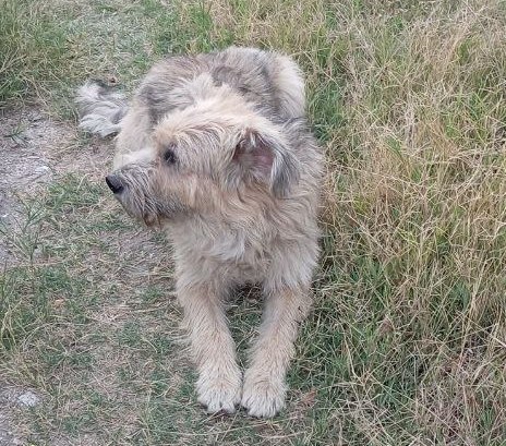 ������ ������� �����