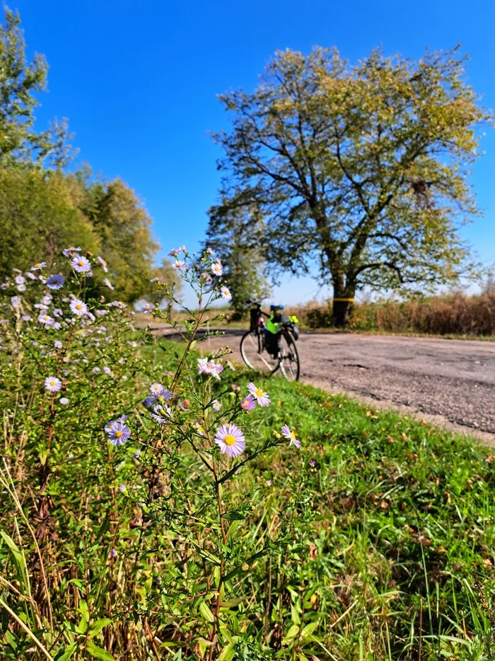 09.21.2024 Kaliningrad region - My, Bike ride, A bike, Nature, September, Kaliningrad region, Vishtynetskoye Lake, Lake, Road, Longpost