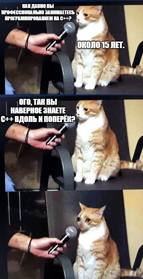 At the interview - Picture with text, Memes, Programming, C ++, cat