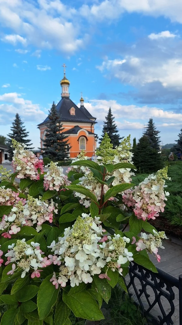 Grace from the Temple - Temple, Church, The Saints, Orthodoxy, Christianity, Religion, God, Person, Heart, Grace, Longpost