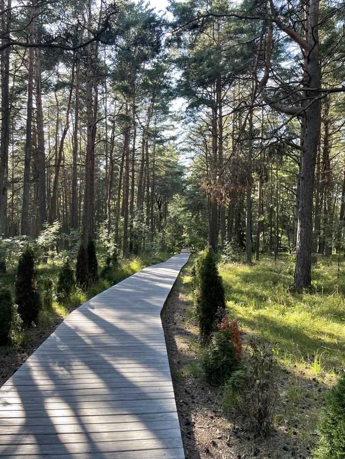 �������� ��������������