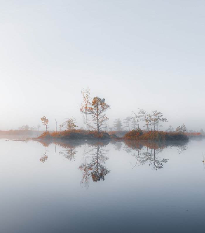    .     .    .   .       .     . 