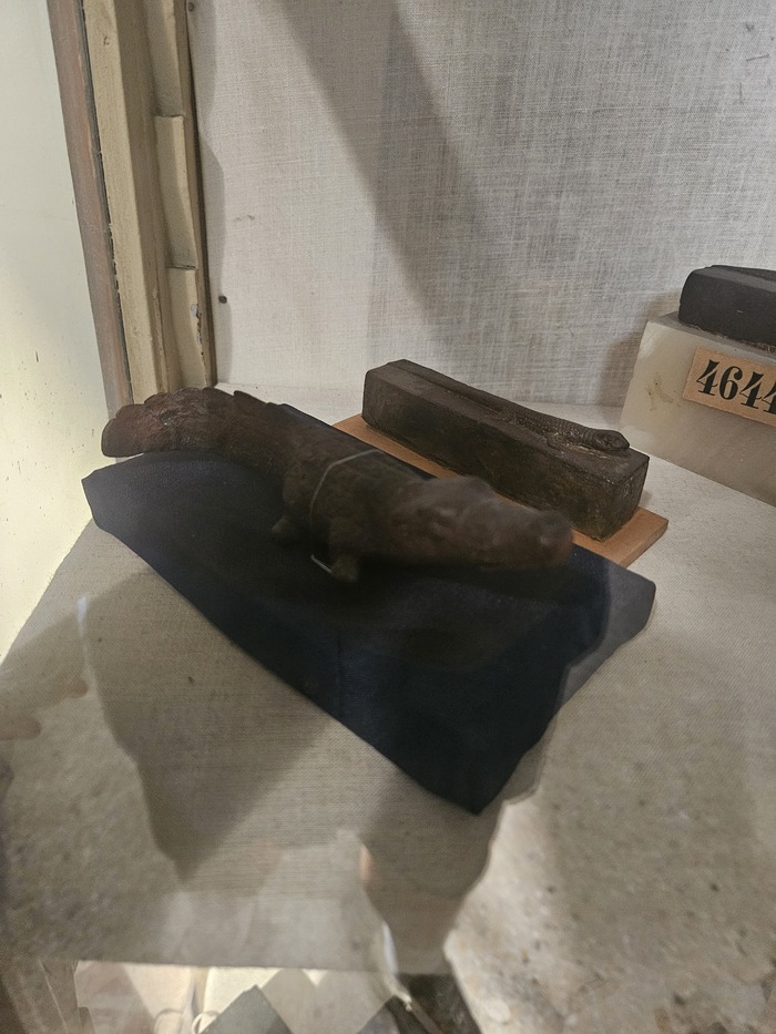 Я не какашка, я - крокодил