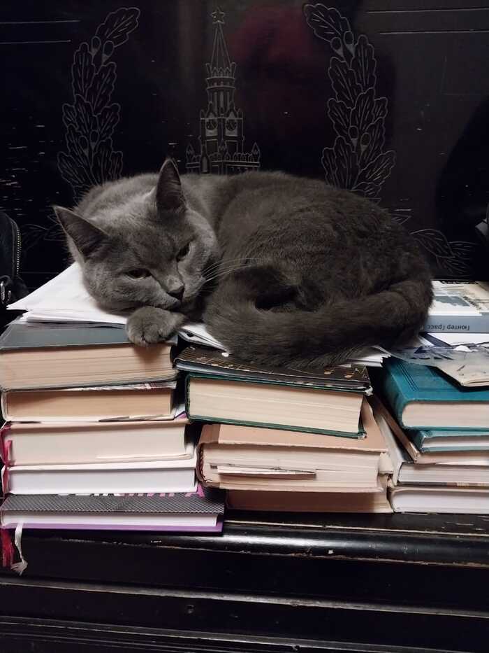      , , , , , 