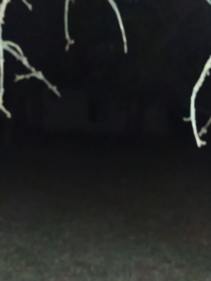   ,    - .      .          ,   -      .