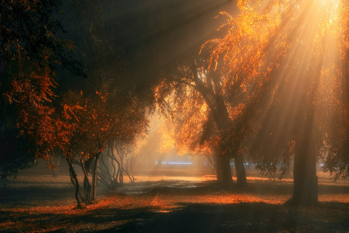 Фото: Валерий Горбунов<a href="https://pikabu.ru/story/noch_ulitsa_fonar_11834994?u=https%3A%2F%2Frtraveler.ru%2Fphoto%2F1462069%2F%3Feditorial_photos%3D1&t=%D0%BE%D1%82%D1%81%D1%8E%D0%B4%D0%B0&h=a7ada4738004deb4ef670c5d0cee23ef8471876f" title="https://rtraveler.ru/photo/1462069/?editorial_photos=1" target="_blank" rel="nofollow noopener"> отсюда</a>