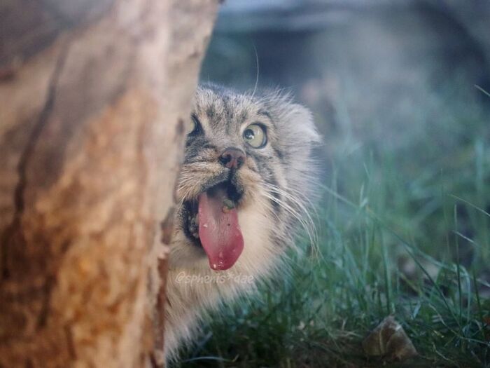 �� �� �����! �� ��� � �������!