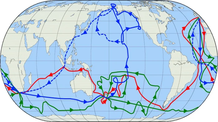 James Cook's Voyages Around the World - My, Nauchpop, Scientists, The science, Civilization, Research, Society, Critical thinking