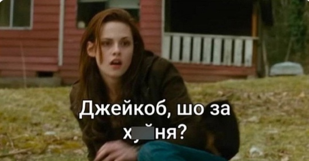 Квадробобер | Пикабу