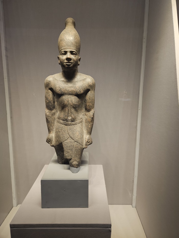 Шарили за фитнес