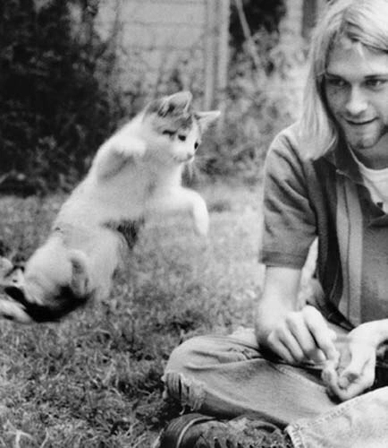 He is right - Text, The photo, Animals, People, Quotes, Kurt Cobain