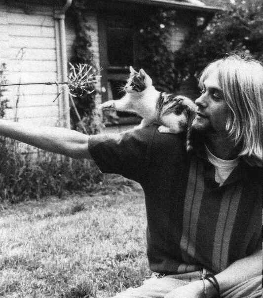 He is right - Text, The photo, Animals, People, Quotes, Kurt Cobain