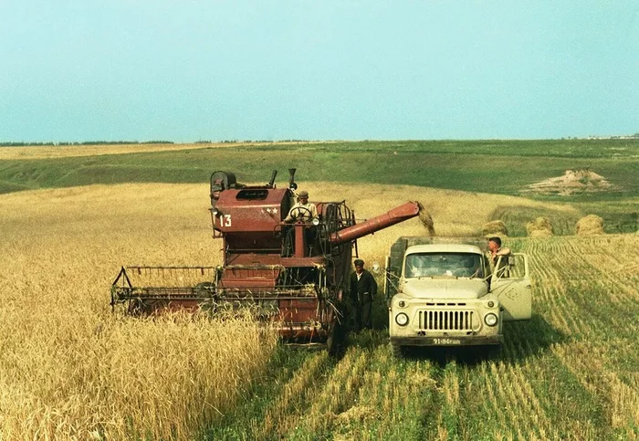 We also had times when all the fields were sown, life in the villages was in full swing, and everyone had work. We lived amicably, happily and simply. - Field, Village, Childhood in the USSR, friendship, Tractor, Combine harvester, Bread, the USSR, Made in USSR, Village, Retro, Work, Childhood memories, Memories, 60th, 70th, 50th, 80-е, Film, Old photo, Telegram (link)