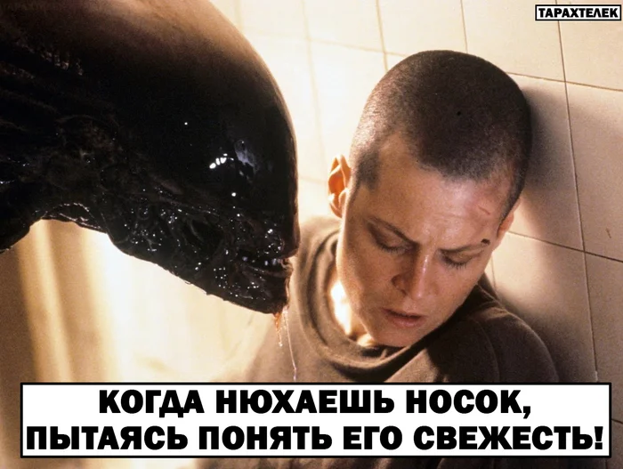 Sock! - My, Humor, Memes, Picture with text, Movies, VKontakte (link), Stranger