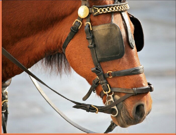 10 ��������� ����, ��� � �������� ���������� ��������