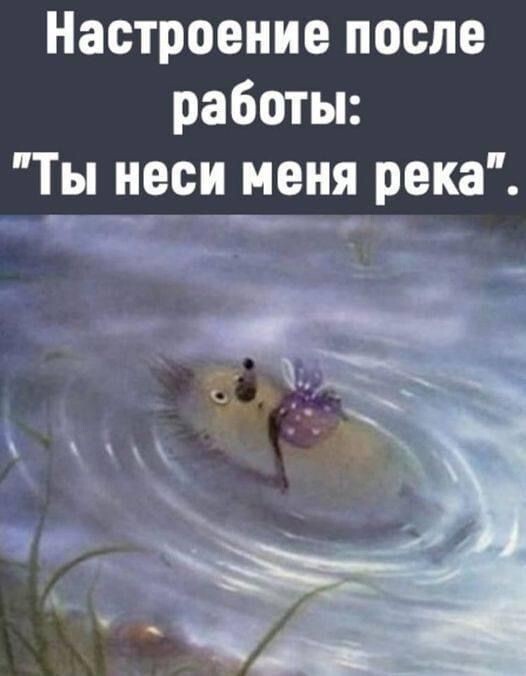 �� ���� ������ ��������