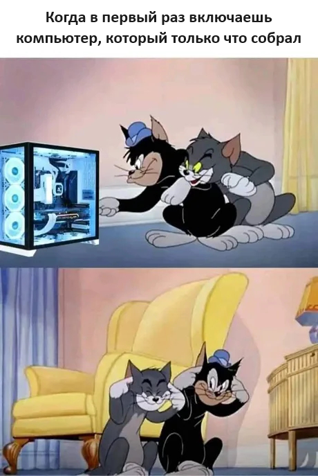 50/50 - Humor, Picture with text, Computer, Tom and Jerry, Assembling your computer, Telegram (link)