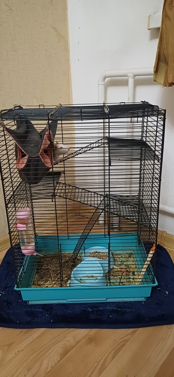 Прошу совет