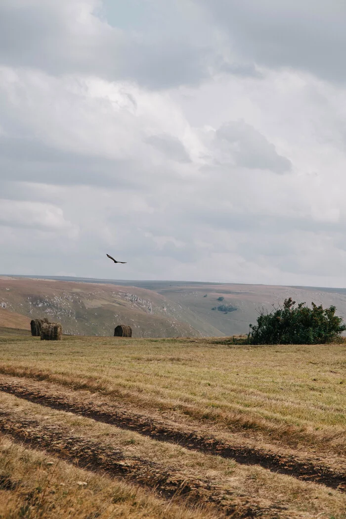 Bermamyt plateau - Bermamyt plateau, Caucasus, Video, Vertical video, Longpost