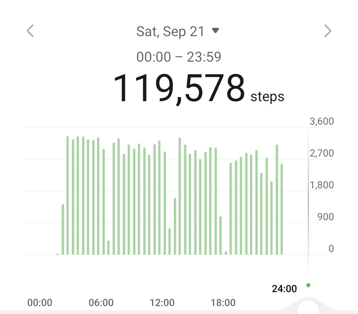 Общее количество шагов за день.