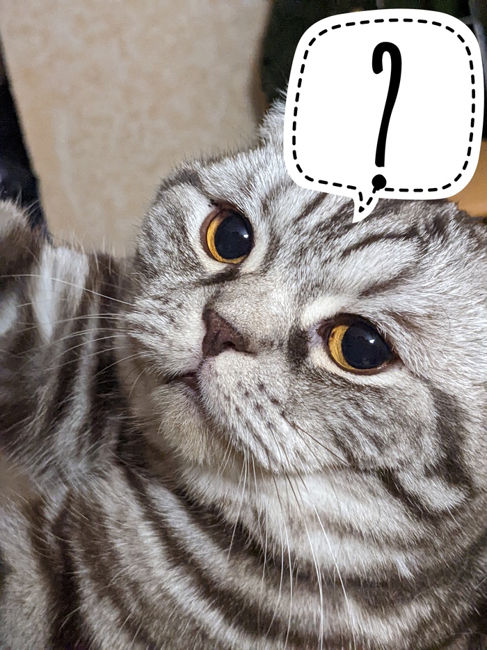 ������� �� �����������,������.��� �� �� ������, ���� ��� ����� ���������? (��������� ������ ����������)