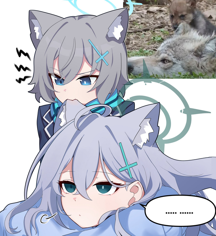 Продолжение поста «Волчары»