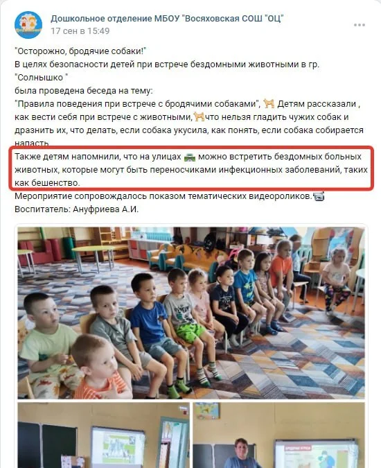 Guess which kindergarten has a zoo-schizo director - Radical animal protection, Stray dogs, Animal shelter, Animal defenders, Dog attack, Safety, Homeless animals, VKontakte (link), Propaganda, Children, Kindergarten, Negative