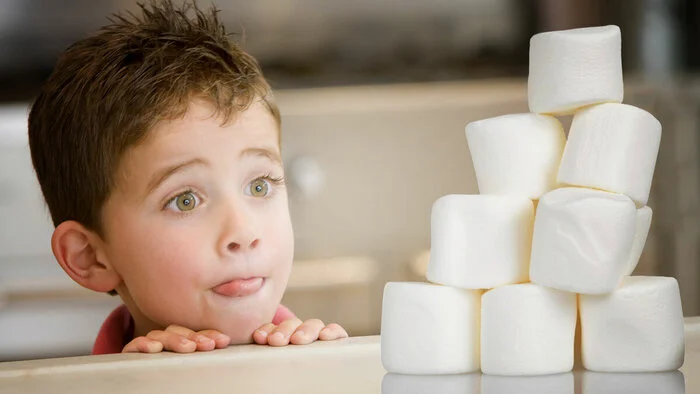 The Marshmallow Effect: How Children's Self-Control Predicts Success in Life - Perfection, Self-development, Психолог, Brain, Experiment, Psychology, Personality, Longpost