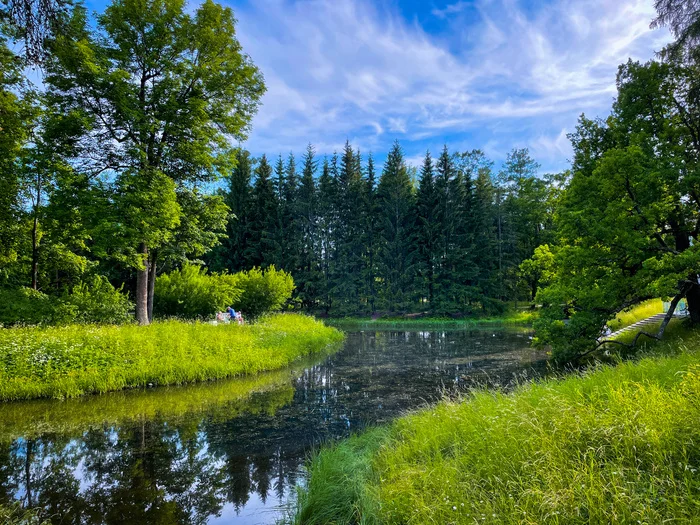 Екатерининский парк (г.СП) - Моё, Фотография, Санкт-Петербург, Природа, Парк