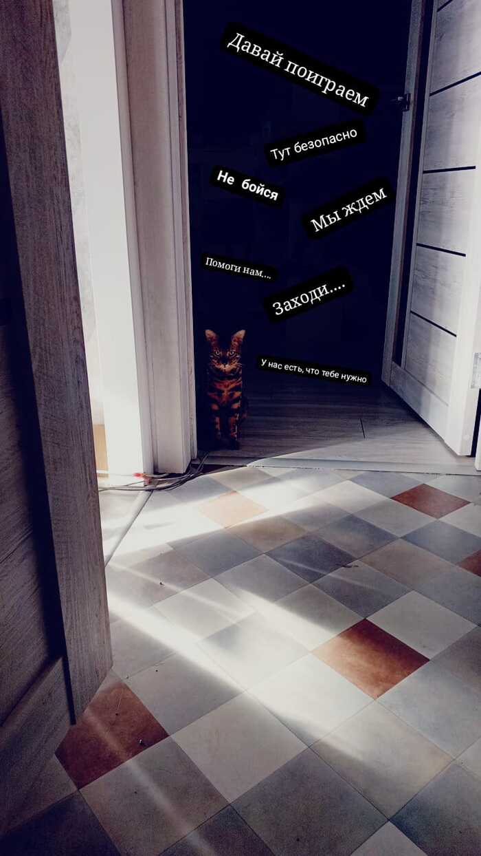 ����� � ���� ������