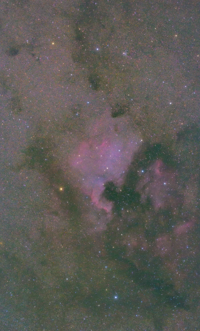 The North America Nebula - My, Astrophoto, Nebula, Space, Hobby, Universe, The photo, Longpost