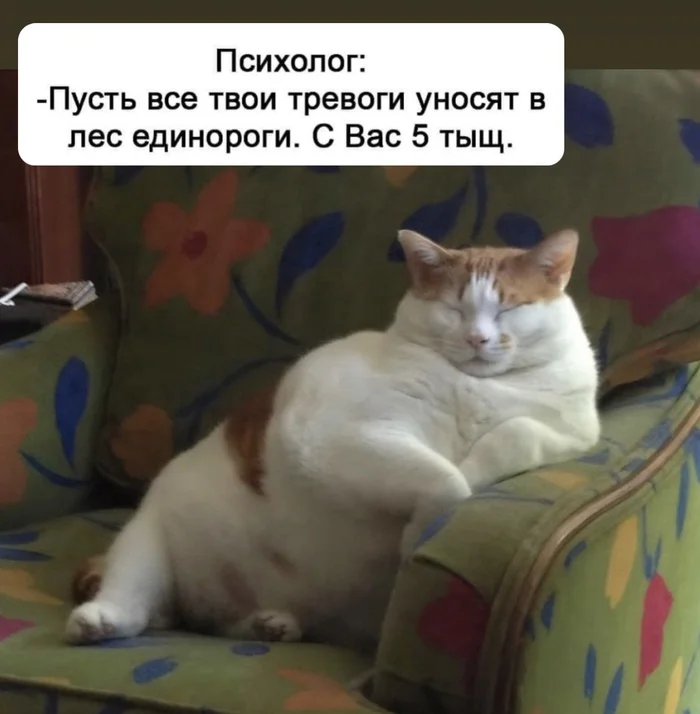 Express therapy - My, Self-development, Archetypes, Psychology, Personality, Internal dialogue, Humor, Reality, Psychotherapy, Психолог, Perfection, Ideal, Fat cats, Memes, Reasoning, Liberty, Brain, Picture with text, cat